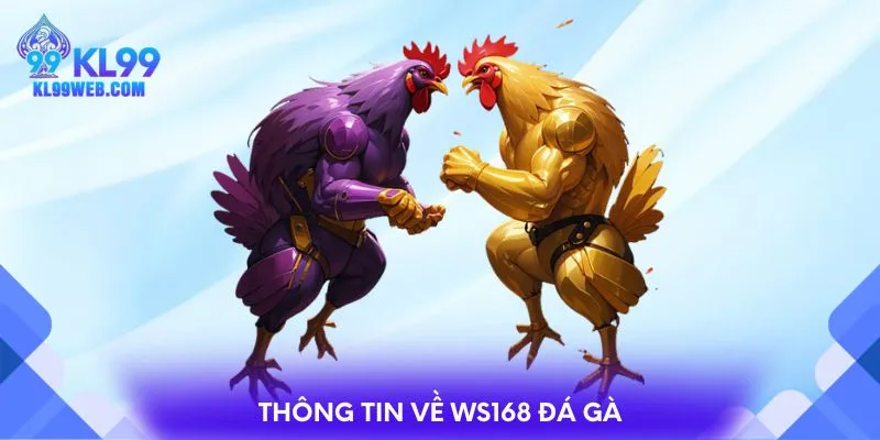Thông tin về Ws168 đá gà